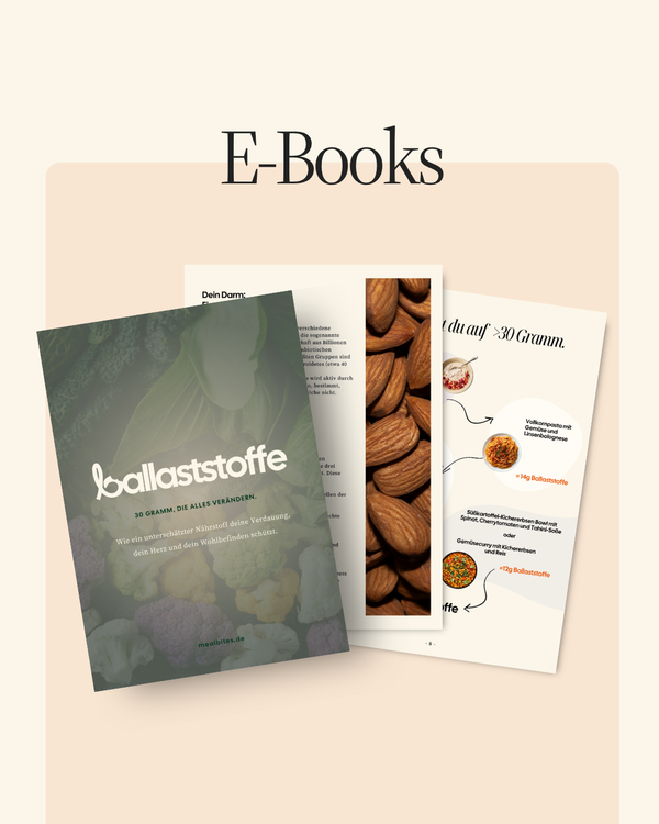 MealBites eBook
