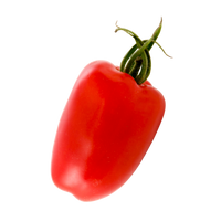 San Marzano